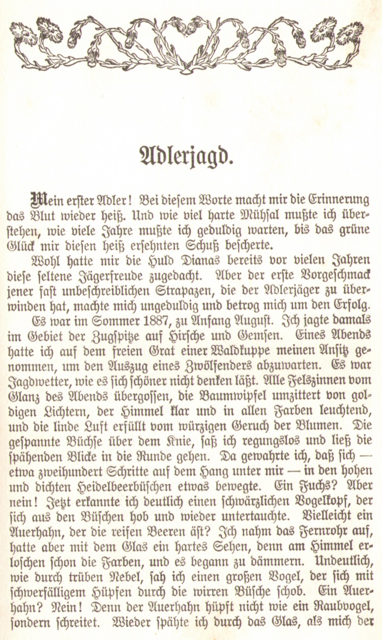 1086_Ludwig Ganghofer - Hubertusland 1912_02p.jpg