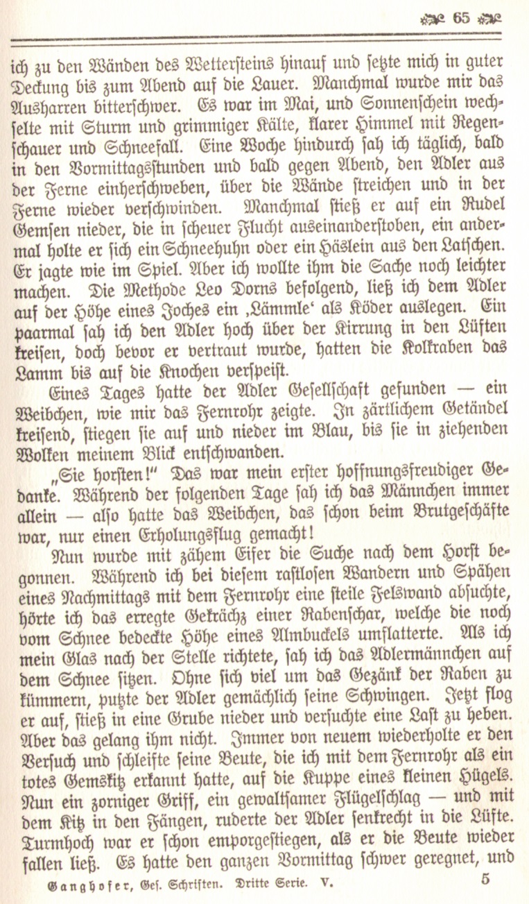 1086_Ludwig Ganghofer - Hubertusland 1912_08p.jpg
