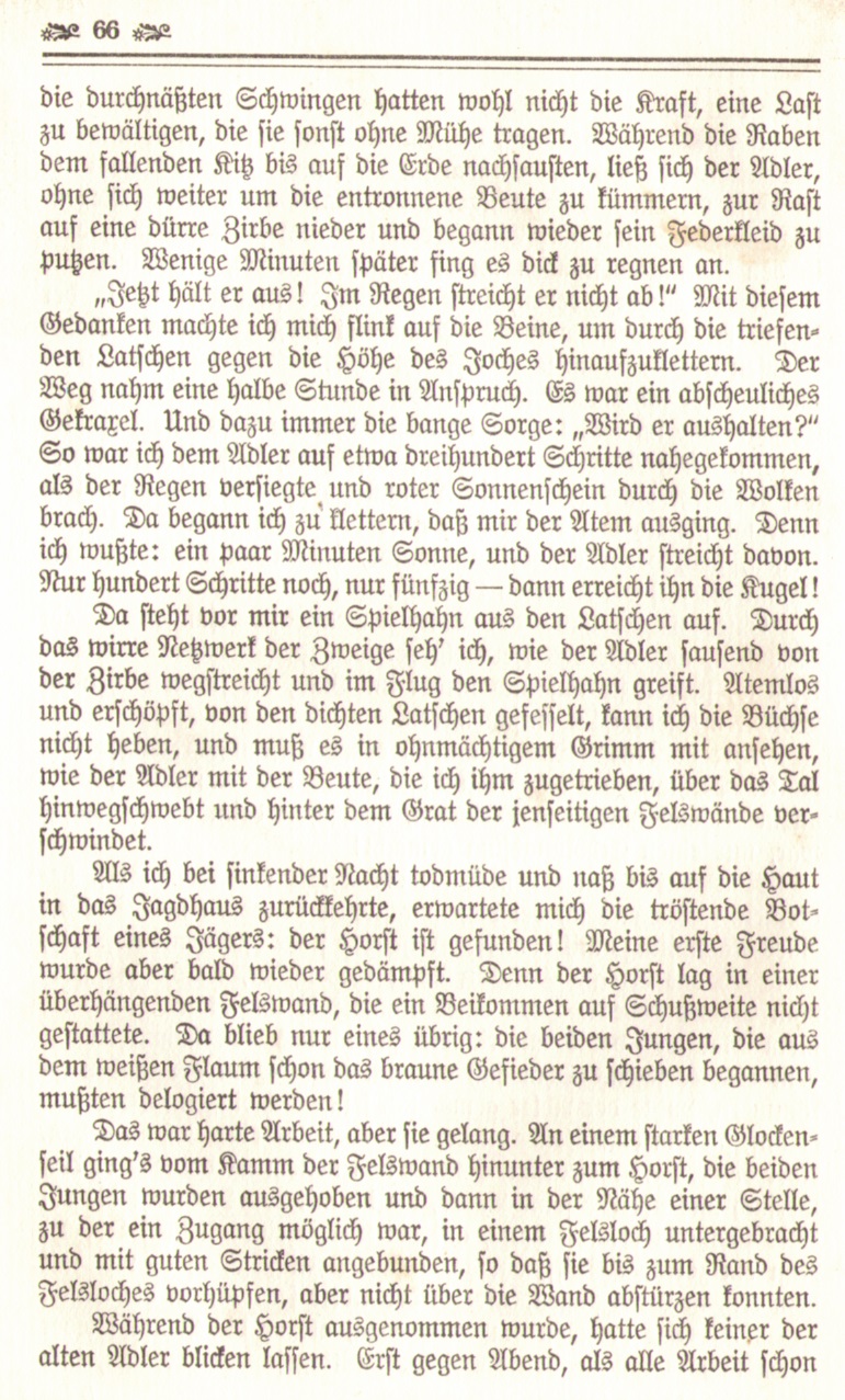 1086_Ludwig Ganghofer - Hubertusland 1912_09p.jpg