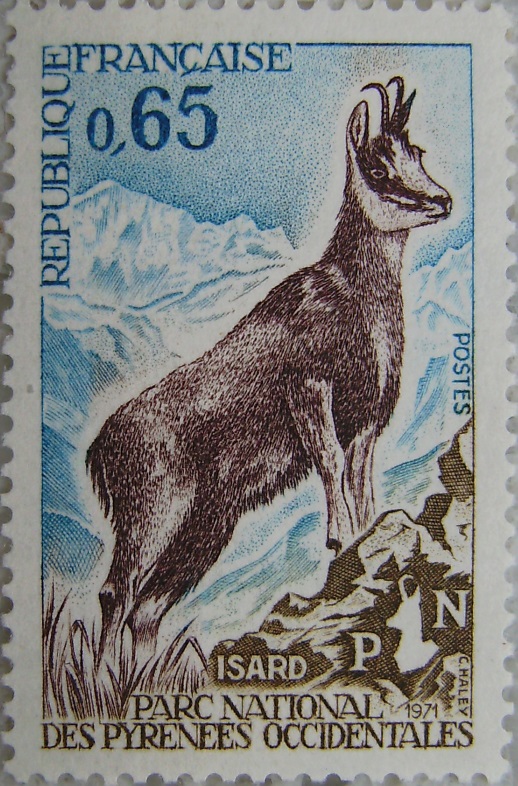 1971_Frankreichp.jpg