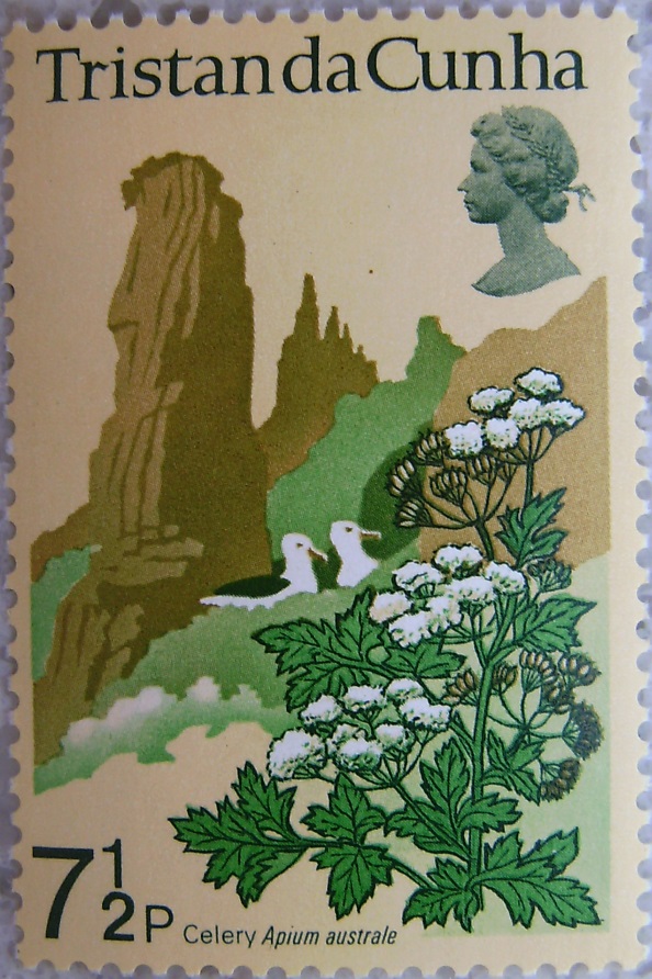 1972_Tristan da Cunha08p.jpg