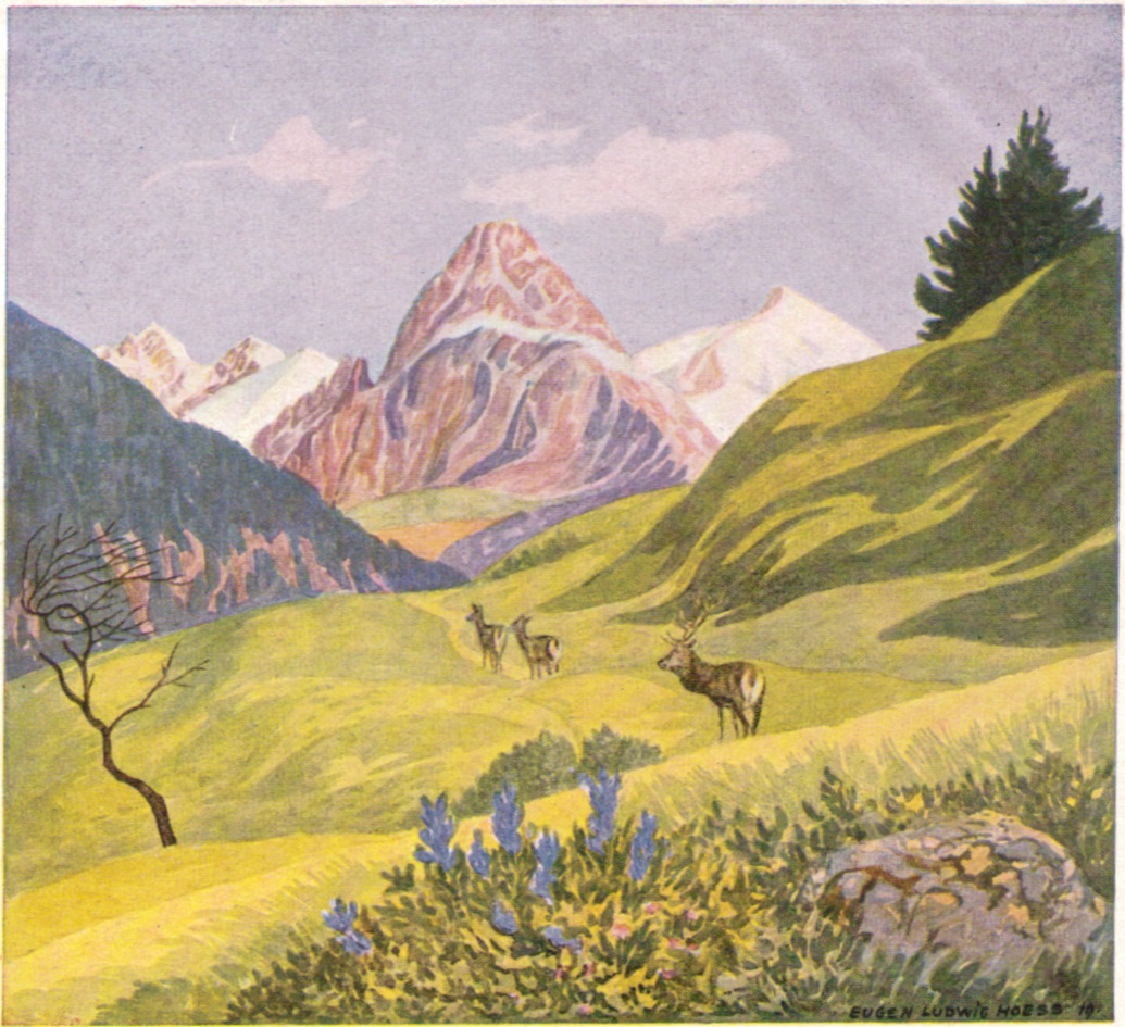 Eugen Ludwig Hoess - Hoefats 1919p.jpg