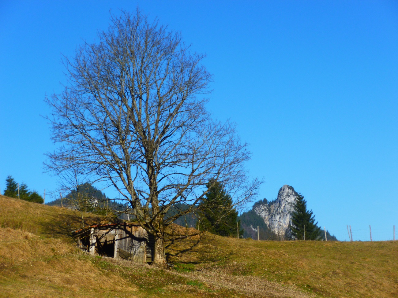 Kienberg 005.JPG
