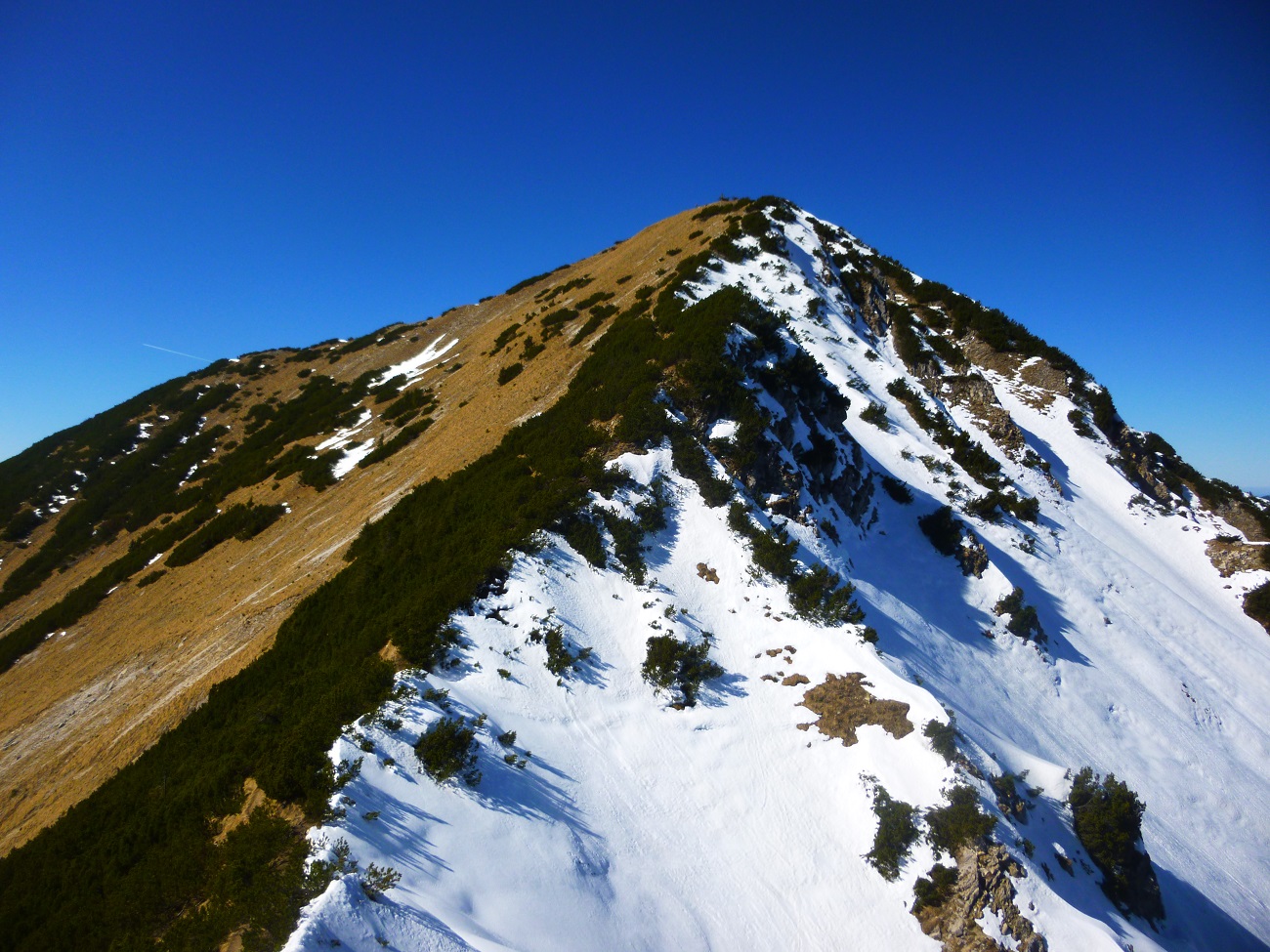 Kienberg 055.JPG