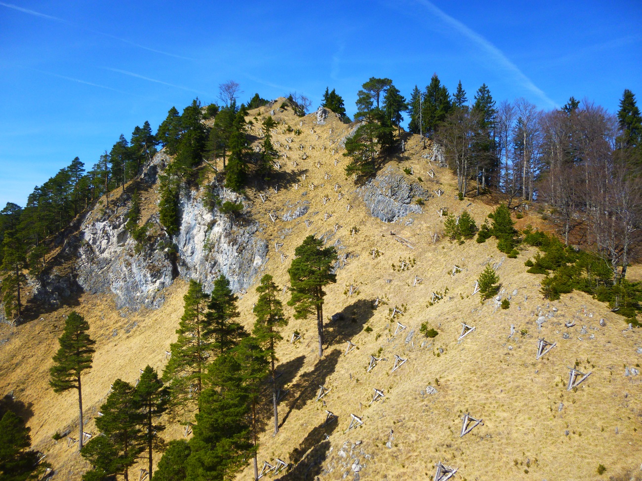 Kienberg 195.JPG
