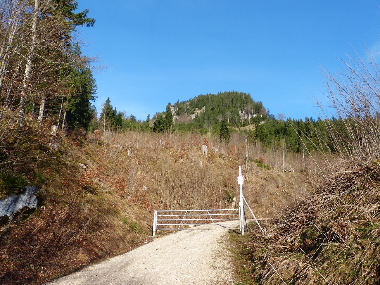 P1100974.JPG