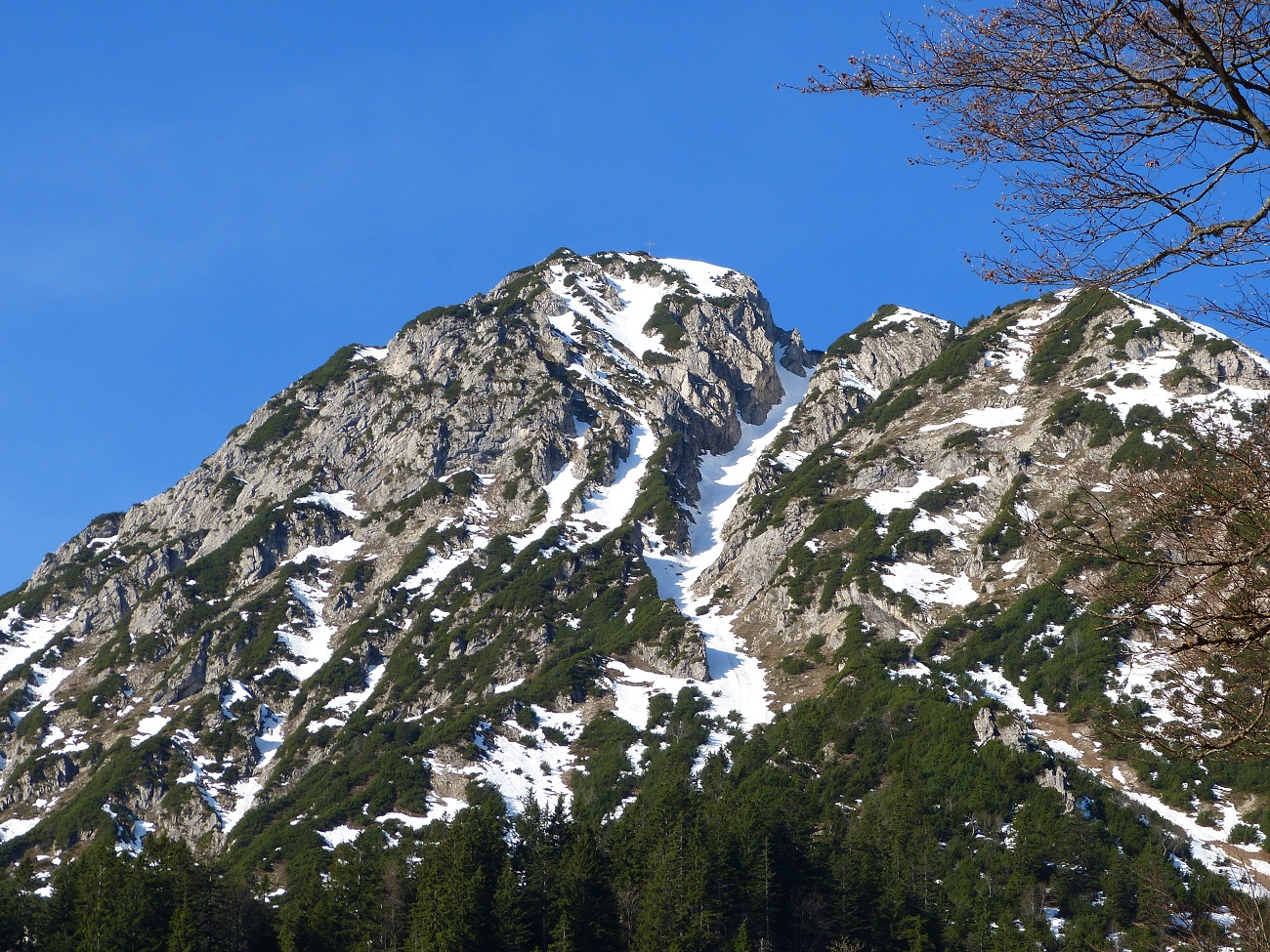 P1100981.JPG