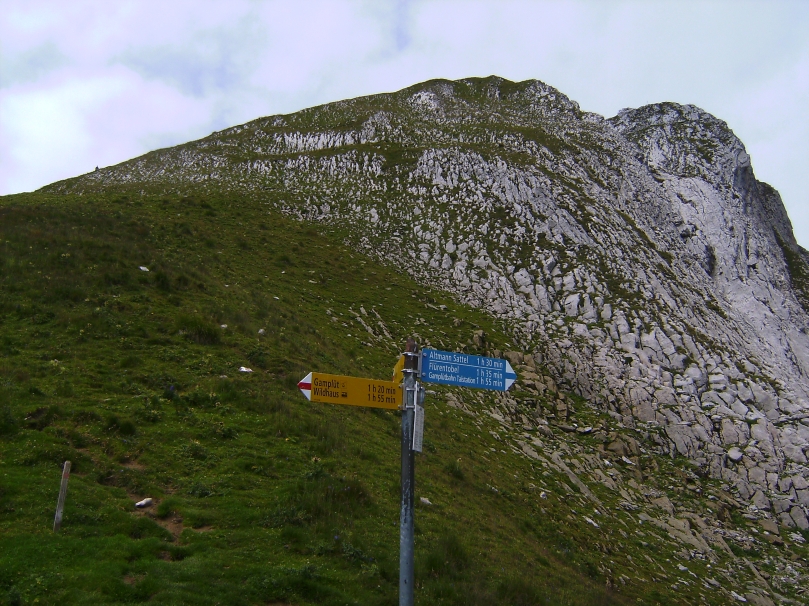 Wildhauser Schafberg05heute.jpg
