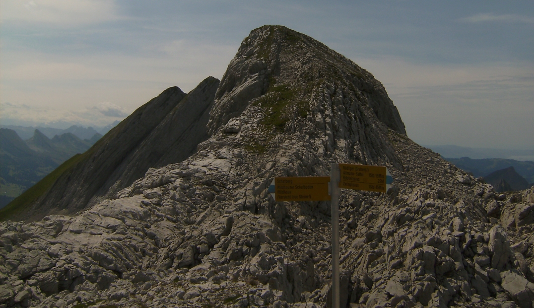 Wildhauser Schafberg07heute.jpg