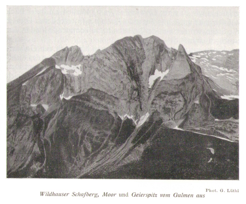 Wildhauser Schafberg08frueherp.jpg