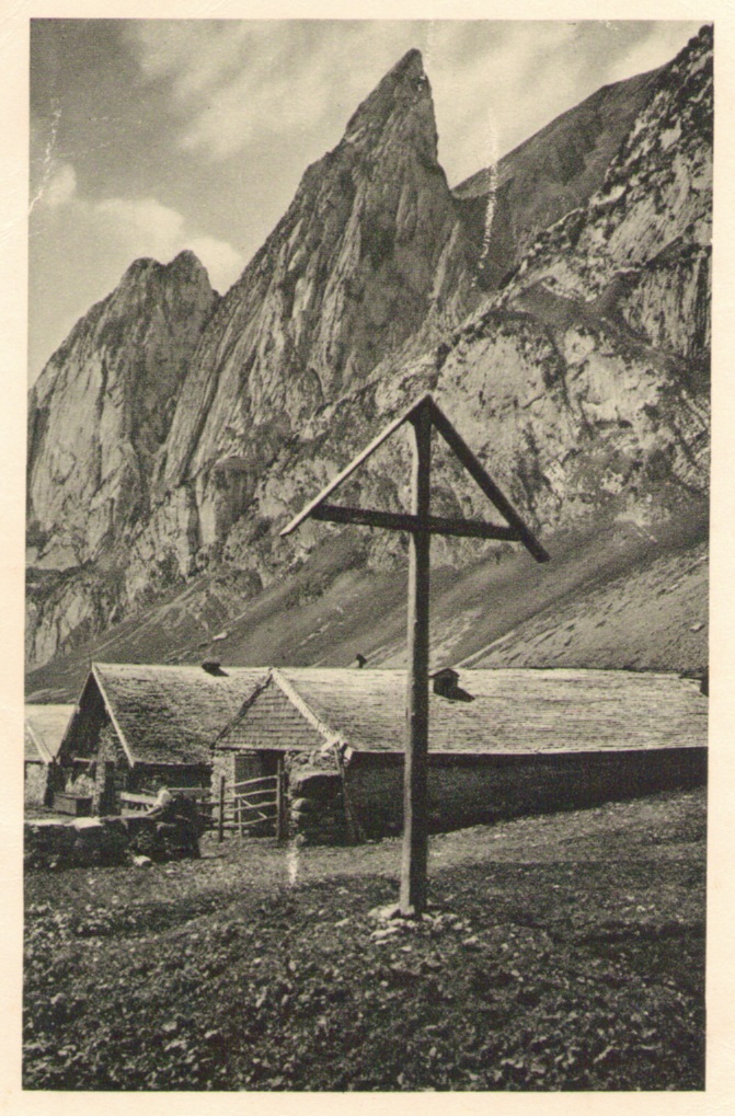 Wildhauser Schafberg10frueherp.jpg