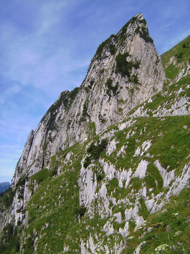 Wildhauser Schafberg10heute.jpg