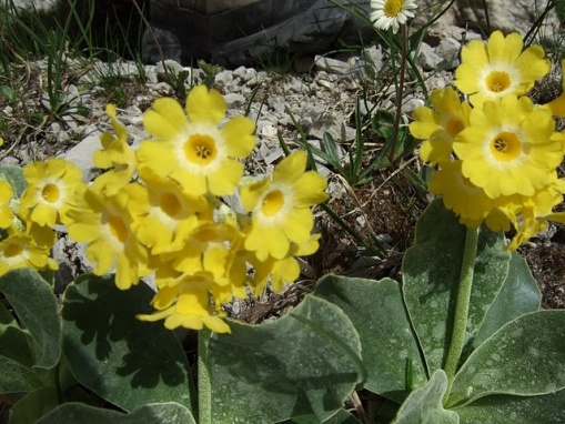 2008_06250093.jpg