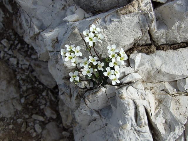 2008_06250106.JPG