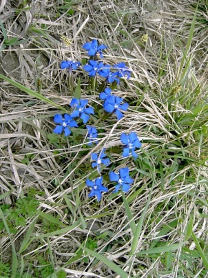 PICT0980.jpg