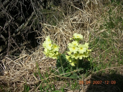 DSCN5180.jpg