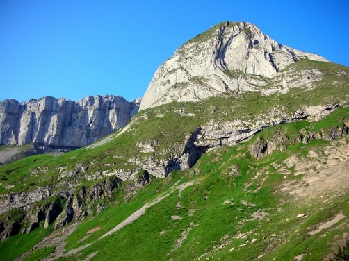 Torkopf.jpg