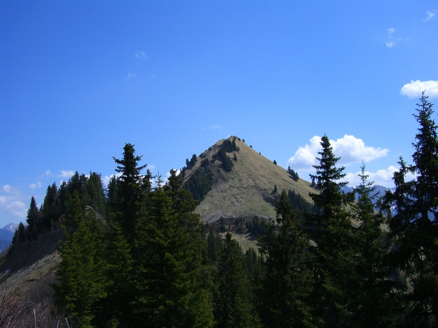 CIMG3164.jpg
