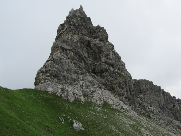 IMG_1404.jpg
