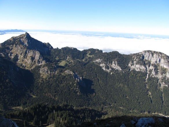 Brander_Schoenleiten.jpg