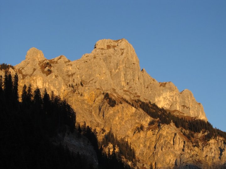 40_Rueckblick_RF.jpg