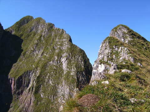BILD8015.jpg