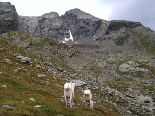Durreck Nebelstimmung4.jpg