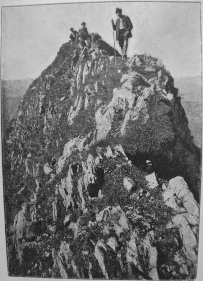 Bild32 M Rauch - Hoefats-Westgipfel.jpg