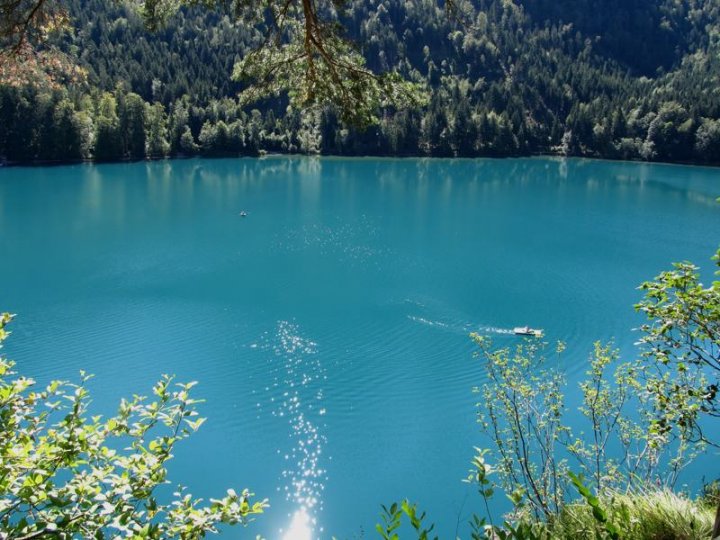 Alpsee_Hohenschwangau_comp.jpg