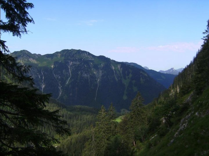 Bild06_Gerstruber Wald02paint.jpg