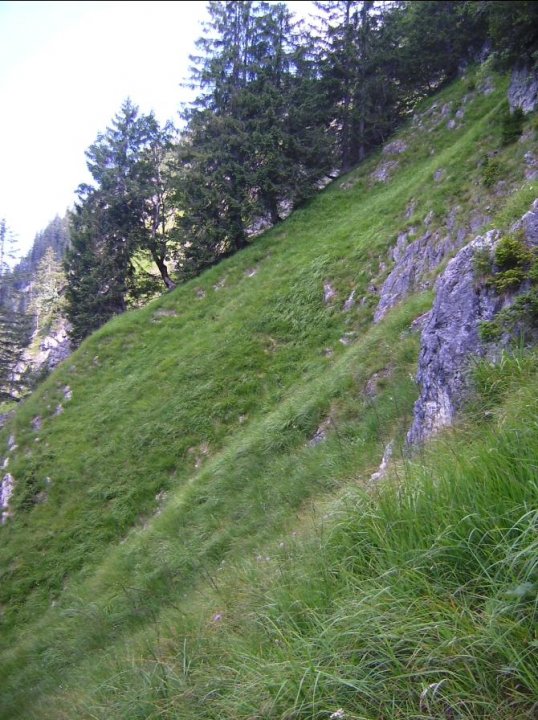 Bild07_Weg Duerrenberg 1560mpaint.jpg