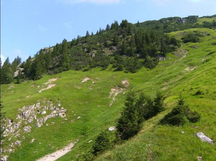 Bild22_Huettenkopf SWHaenge01paint.jpg