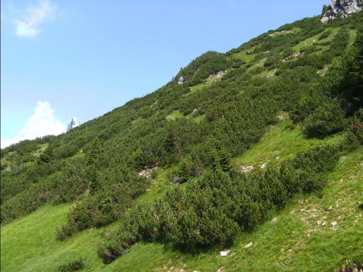 Bild23_Huettenkopf SWHaenge02paint.jpg