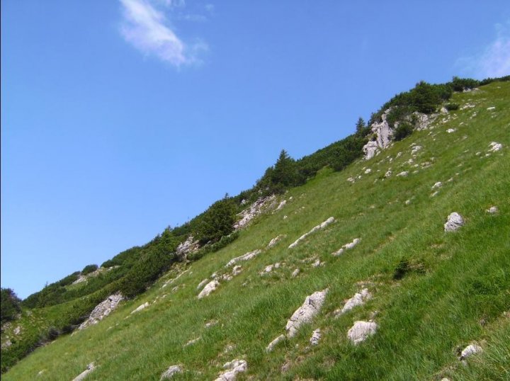 Bild24_Huettenkopf SWHaenge03paint.jpg