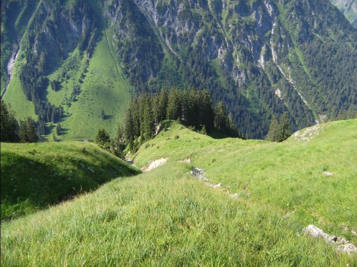 Bild25_Blick zurueck zur Waldgrenze01paint.jpg