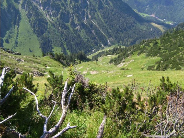 Bild27_Blick zurueck zur Waldgrenze03paint.jpg