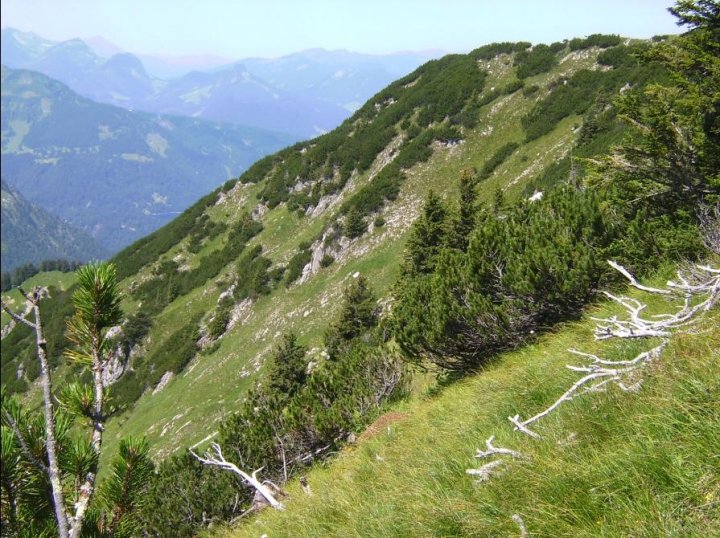 Bild64_Weg zur Gieselerwand06paint.jpg