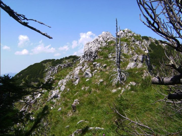 Bild66_Turm Huettenkopfscharte 1930m01paint.jpg