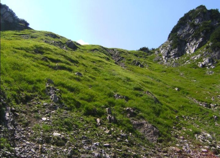 Bild77_Weg zu den Lugenalpen01paint.jpg