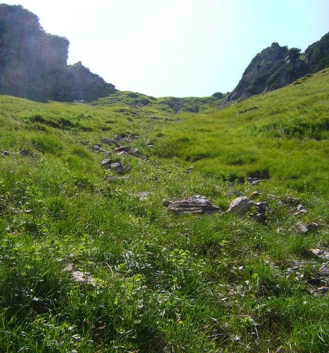 Bild79_Weg zu den Lugenalpen03paint.jpg