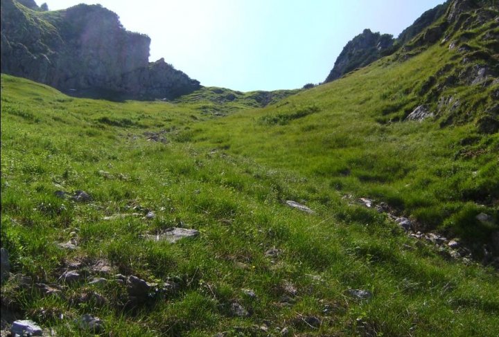 Bild80_Weg zu den Lugenalpen04paint.jpg