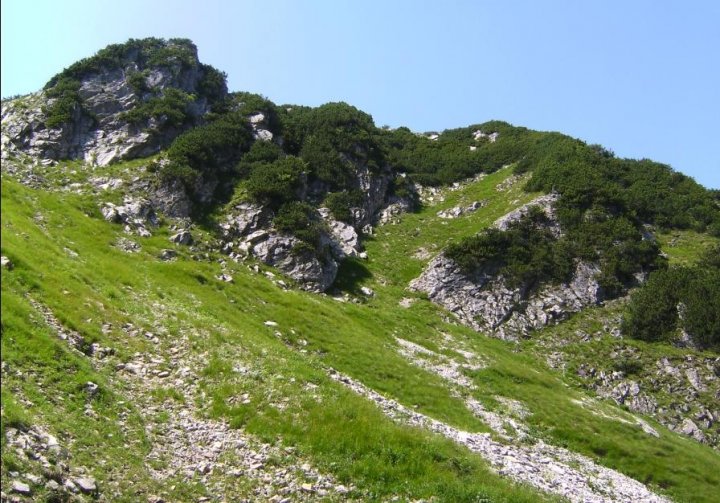 Bild84_Huettenkopf 1950m Ostflanke01paint.jpg