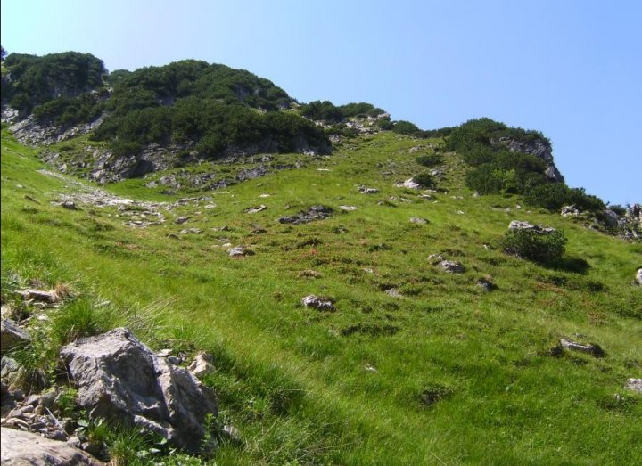 Bild85_Huettenkopf 1950m Ostflanke02paint.jpg
