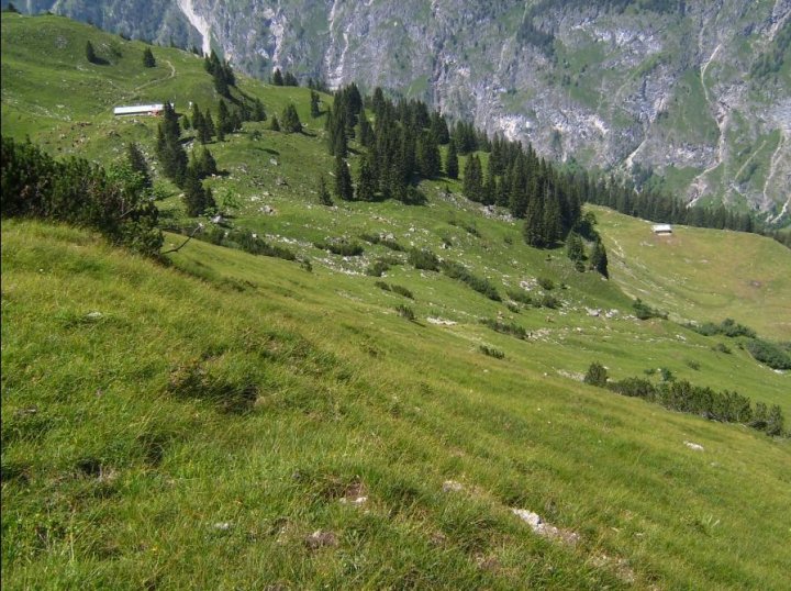 Bild105_Blick zur Oberen Lugenalpe 1566mpaint.jpg