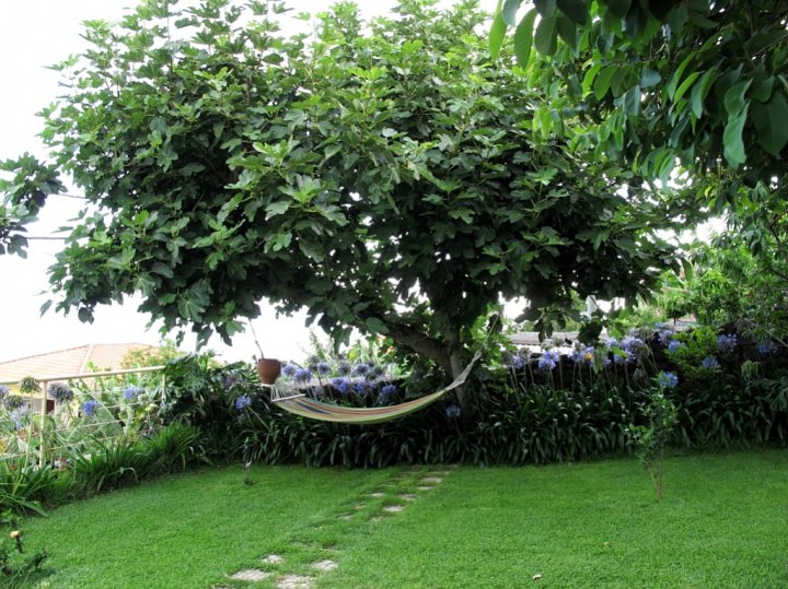 Madeira_018.jpg