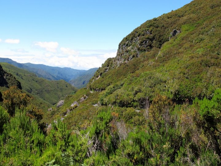 Madeira_052.jpg