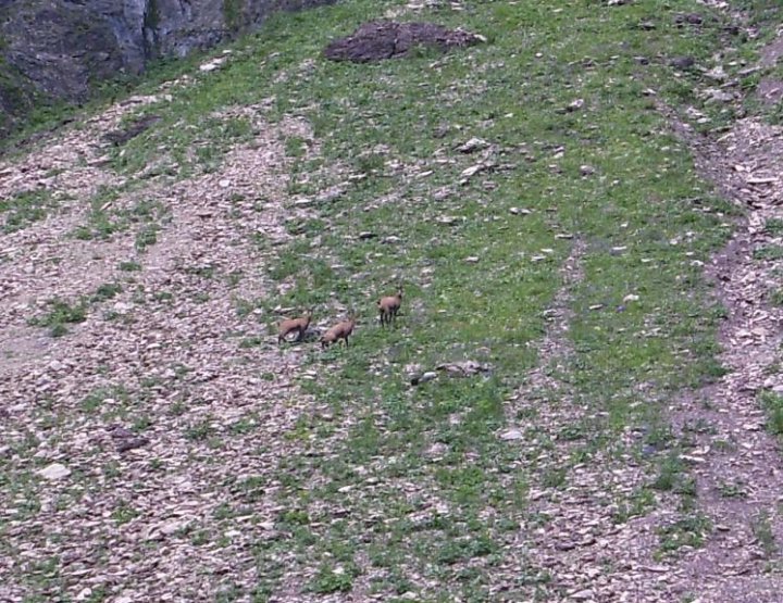 Rotes Loch20paint.jpg