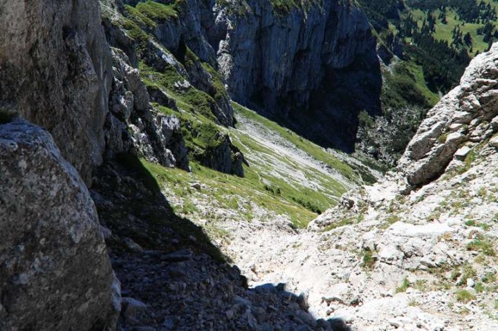 7_3694.JPG