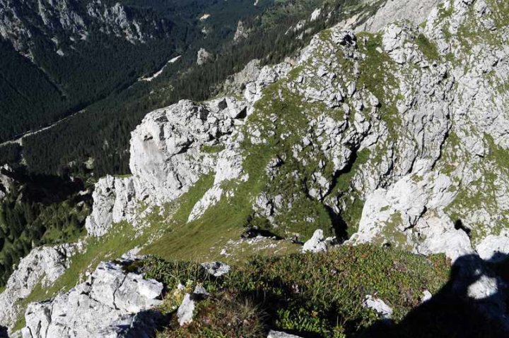 9_3798.JPG