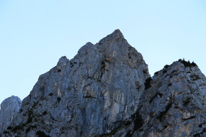 37_3920.JPG